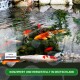Ein ruhiger Teich mit bunten Koi-Fischen, Steinen und Pflanzen, beschriftet mit "Made in Germany" und "KONZIPIERT UND HERGESTELLT IN DEUTSCHLAND."