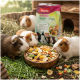 Nahaufnahme eines Meerschweinchens neben einer grünen Schüssel mit buntem Haustierfutter, beschriftet mit "PANTO Nager-Crispy" mit Omega-3 und Vitalitätsansprüchen.
