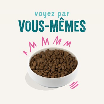 Bol de nourriture pour animaux rempli de croquettes brunes, avec le texte 'voyez par VOUS-MÊMES' au-dessus et des accents roses ludiques autour.