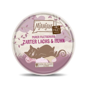Nassfutter Katze Adult, Purer Filetgenuss 16x80 g Lachs & Huhn