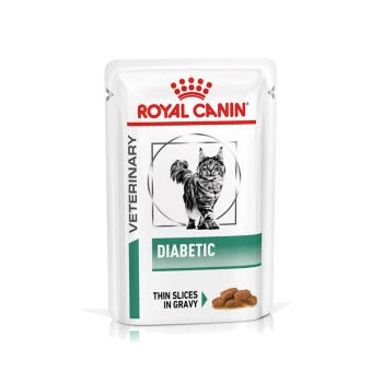 Royal Canin Diabetiker Katzenfutterbeutel mit einer grauen getigerten Katze, beschriftet mit "DIABETIC" und "DÜNNE SCHEIBEN IN SOßE."