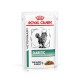 Royal Canin Diabetiker Katzenfutterbeutel mit einer grauen getigerten Katze, beschriftet mit "DIABETIC" und "DÜNNE SCHEIBEN IN SOßE."