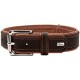 Braunes Leder-Hundehalsband mit silberner Schnalle und Nähdetails, mit kleinem 'HUNTER'-Logo.