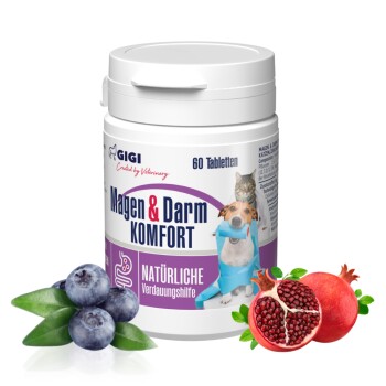 Behälter von GIGI Magen & Darm KOMFORT, ein natürliches Verdauungshilfsmittel für Haustiere, mit 60 Tabletten, die Blaubeeren und Granatapfel enthalten.