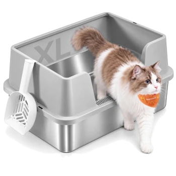 Grau geschlossene Katzentoilette mit Oberöffnung und Vorderklappe; zwei Katzen (eine innen, eine steigt heraus), Schaufel und Matte.