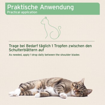 Eine entspannte getigerte Katze, die auf der Seite liegt, mit Textanweisungen in Deutsch und Englisch zur Anwendung eines Produkts zwischen den Schulterblättern.