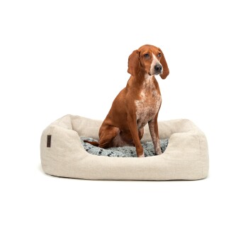 Hundebett mit Wendekissen meliert M