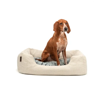 Ein brauner Hund sitzt bequem in einem weichen, beigen Haustierbett mit grauem Plüschinneren und zeigt ein gemütliches Design für Haustiere.