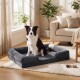 Schwarz-weißer Border Collie sitzt auf einem grauen Hundebett mit Rand in einem sonnenbeschienenen Wohnzimmer mit beigem Sofa, Teppich und Pflanzen.