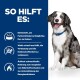 Ein glücklicher Hund mit einem blauen Halsband sitzt vor einem blauen Hintergrund, begleitet von Text, der die Vorteile eines Haustierfutterprodukts beschreibt.