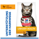 Hill's Science Plan Urinary Health Katzenfuttersack mit gestreifter Katze mit rotem Halsband; Text 'URINARY HEALTH' und 'with CHICKEN'.