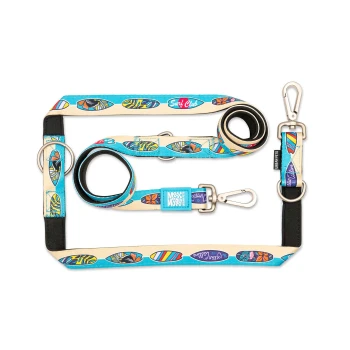 Hundeleinen- und Halsbandset mit bunten Surfbrettmustern und Metallverschlüssen, beschriftet mit „Max & Molly“ und „Urban Pets“.