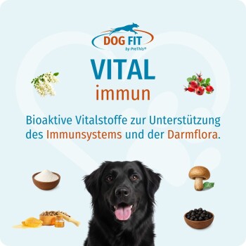 Schwarzer Hund unter dem 'DOG FIT VITAL immun'-Logo, mit deutschem Text zur Unterstützung des Immunsystems und der Darmflora