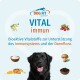 Schwarzer Hund unter dem 'DOG FIT VITAL immun'-Logo, mit deutschem Text zur Unterstützung des Immunsystems und der Darmflora