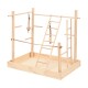 Wooden pet play gym with ladders, swings, and climbing bars, designed for small animals to exercise and play.