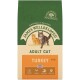 James Wellbeloved Adult Cat food bag, featuring a turkey flavor, 4kg. Images of a ginger and a tabby cat. Hypoallergenic, supports gut health.