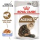 Royal Canin Ageing 12+ cat food packaging featuring a fluffy cat illustration, with text highlighting joint health and EPA/DHA benefits.