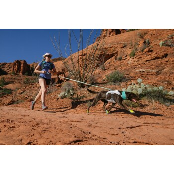 Eine Person läuft auf einem felsigen Pfad mit einem braunen Hund, der schützende Booties und ein Geschirr trägt, umgeben von Wüstenvegetation.