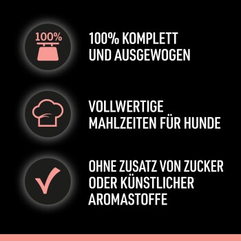Bild zur Förderung von Hundefutter mit Text: "100% komplett und ausgewogen," "Nahrhafte Mahlzeiten für Hunde," "Kein Zucker oder künstliche Aromen hinzugefügt."