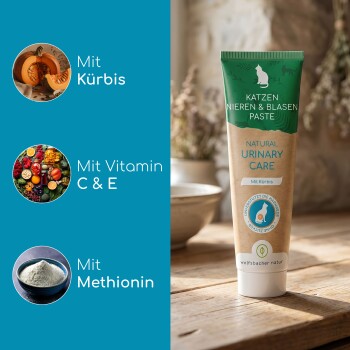 Grau-getigertes Kätzchen neben einer Tube mit der Aufschrift 'Katzen Nieren & Blasen Paste – Natural Urinary Care'.