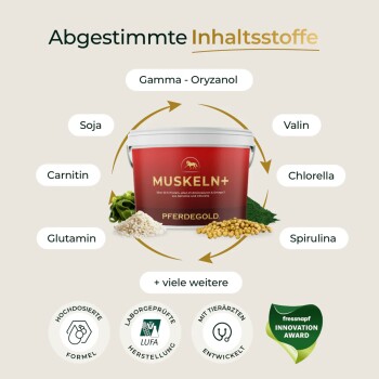 Roter Eimer mit Pferdefutter, beschriftet "Pferdegold", mit aufgeführten Vorteilen: fördert Muskelwachstum, Stoffwechsel und Entspannung. 50.000 glückliche Pferde.