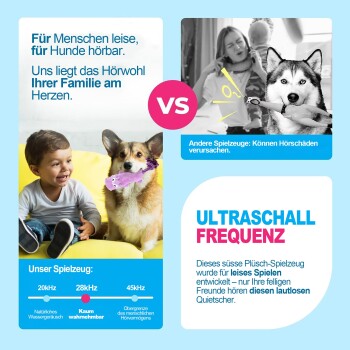 Anzeige eines Online-Tiergeschäfts: Kind und Corgi mit violettem Plüschtier; deutscher Text: 'Für Menschen leise, für Hunde hörbar', 'ULTRASCHALL FREQUENZ', 'Andere Spielzeuge: Können Hörschäden verursachen.'