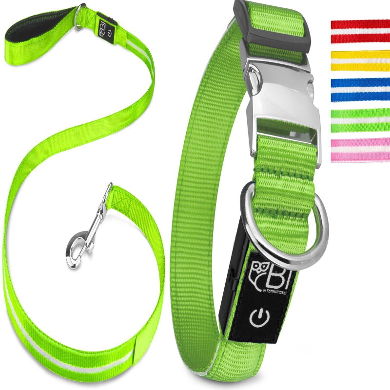Petsation Leuchthalsband + Leine grün L
