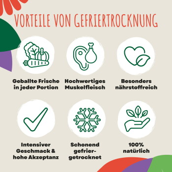 Infografik 'Vorteile der Gefriertrocknung': Symbole für Frische, Muskelfleisch, Nährstoffgehalt, Geschmack, schonende Verarbeitung, 100% natürlich.
