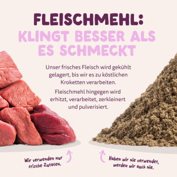Links: rohes rotes Fleisch; rechts: braunes Fleischmehlpulver; deutsche Überschrift 'FLEISCHMEHL: KLINGT BESSER ALS ES SCHMECKT'.