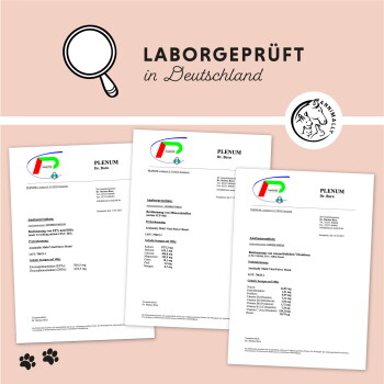 Pinkfarbener Kopfbereich mit Lupensymbol und dem Text 'LABORGEPRÜFT in Deutschland', drei PLENUM-Laborberichte und Pfotenabdruck-Symbole.