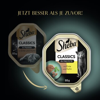 Sheba Classics Katzenfutterverpackung mit einer grauen Katze, mit dem Text "Jetzt besser als je zuvor!" und "mit Ente und Huhn" auf einem 85g Behälter.