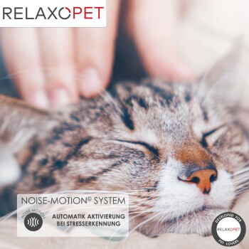 PRO Entspannungs-Trainer KATZE