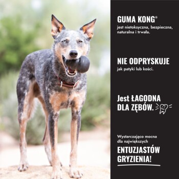 Pies trzymający w pysku czarną gumową zabawkę Kong po lewej; po prawej czarny panel głosi 'GUMA KONG' i 'Jest łagodna dla zębów.'