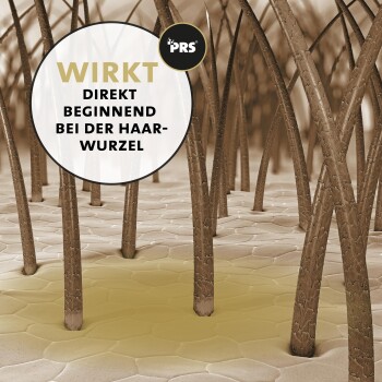 Illustration von Haarfollikeln in einer hautähnlichen Textur, mit einem runden Etikett, das besagt: "WIRKT DIREKT BEGINNEND BEI DER HAAR-WURZEL."