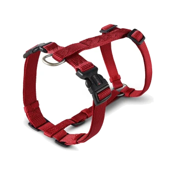 Rotes verstellbares Nylon-Hundegeschirr mit schwarzen Kunststoffschnallen und Metall-D-Ring, mit „WOLTERS“ auf der Schnalle beschriftet.