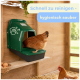Grüne Hühnernestbox an einem Holzstall, Henne steigt ein, Eier im Korb; Text: 'Schnell zu reinigen - hygienisch sauber'.