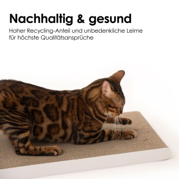 Eine Bengal-Katze kratzt an einem strukturierten Pad mit dem Text darüber: "Nachhaltig & gesund" und Informationen über Recyclinginhalte und sichere Klebstoffe.