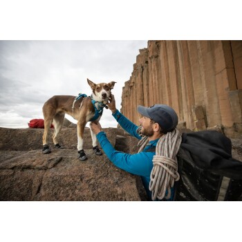Eine Person in einer blauen Jacke und Mütze interagiert mit einem braun-weißen Hund, der ein Geschirr und Stiefel auf felsigem Terrain trägt.