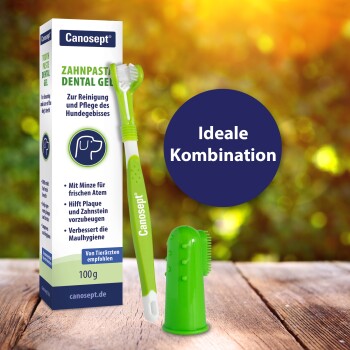 Zahnpflegeset für Hunde mit Canosept-Zahnpasta, einer Zahnbürste und einer Fingerbürste, mit dem Text "Ideale Kombination" prominent angezeigt.