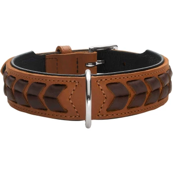 Brauner Lederhundehalsband mit geflochtenem Design und silberner Schnalle, das ein stilvolles und langlebiges Accessoire für Haustiere zeigt.