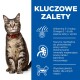 Tabby kot w czerwonej obroży siedzi na niebieskim tle z polskim tekstem o korzyściach żywieniowych dla skóry, serca i zdrowia mięśni.