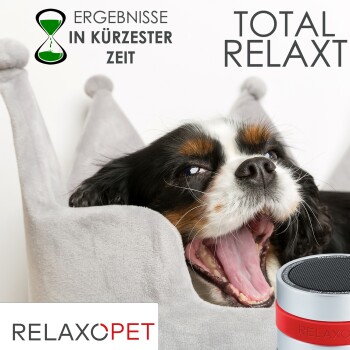Ein entspannter Hund gähnt auf einem weichen grauen Haustierbett, mit dem Text "TOTAL RELAXT" und "ERGEBNISSE IN KÜRZESTER ZEIT" darüber, und einem RelaxoPet-Gerät in der Nähe.