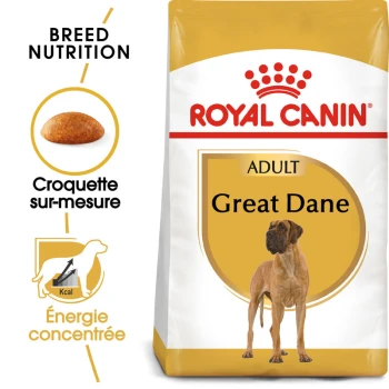 Sac de nourriture pour chiens adultes Royal Canin Great Dane avec une image de chien Great Dane, avec un texte mettant en avant la nutrition de la race et l'énergie concentrée.