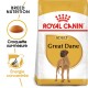 Sac de nourriture pour chiens adultes Royal Canin Great Dane avec une image de chien Great Dane, avec un texte mettant en avant la nutrition de la race et l'énergie concentrée.