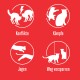 Vier kreisförmige Symbole auf rotem Hintergrund zeigen Haustierverhalten: Katzenkonflikt, verspielter Hund und Katze, jagende Katze und Katzen hinter einer Barriere.
