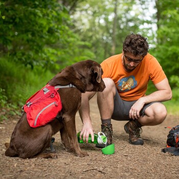 Ein brauner Labrador Retriever mit einem roten Rucksack sitzt auf einem Waldweg, während eine Person neben ihm kniet und Wasser aus einer grünen tragbaren Schüssel gießt.