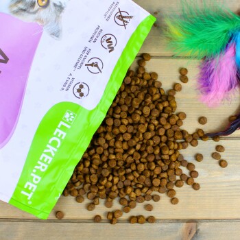 Eine schwarze Schüssel gefüllt mit goldenen Tierfutterkibbles, umgeben von bunten Spielmäusen und Federn, auf einer strukturierten grauen Oberfläche.