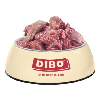 Eine beige Schale für Tierfutter, gefüllt mit rohen Fleischstücken, markiert mit "DIBO" und dem Slogan "Für die Besten das Beste."