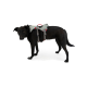 Ein schwarzer Hund trägt ein graues Geschirr mit roten Akzenten, steht vor einem weißen Hintergrund und schaut zur Kamera.