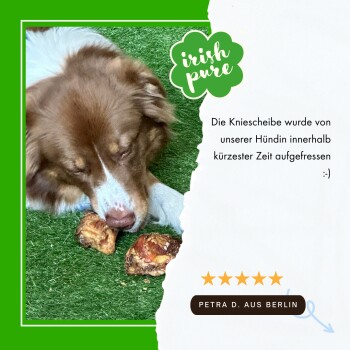 Ein braun-weißer Hund genießt einen Knochen auf grünem Gras, mit einem deutschen Testimonial, das das Produkt lobt, und einer Fünf-Sterne-Bewertung.